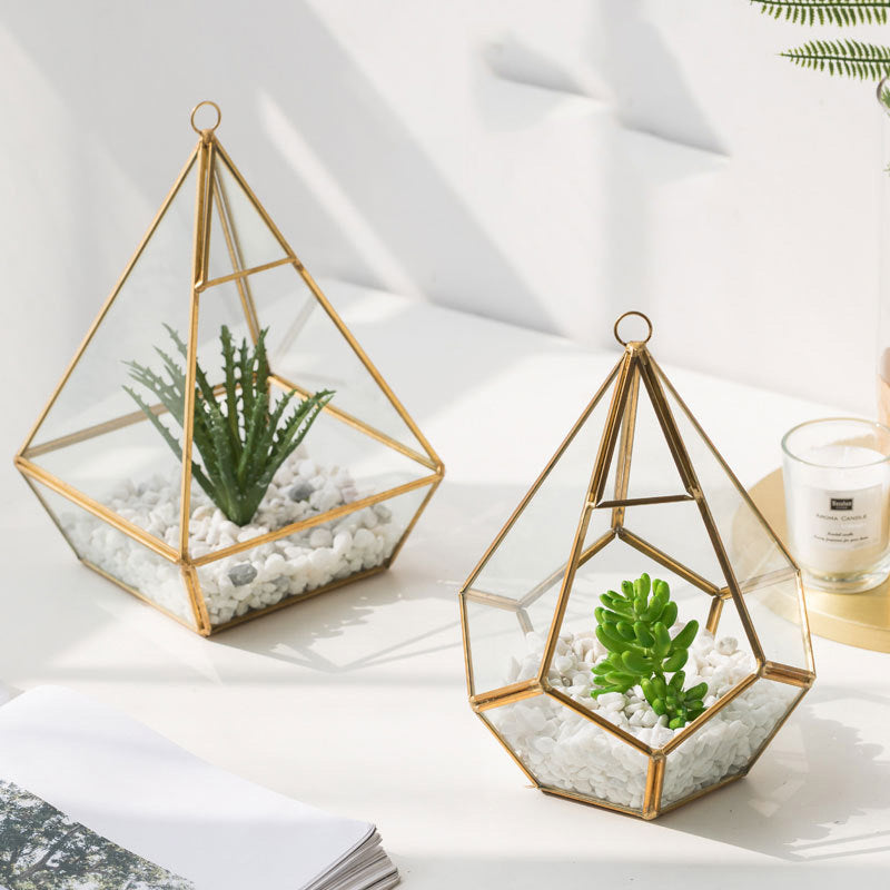 Transform Your Home with Our Succulent Bonsai Decorative Plant Set