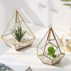 Transform Your Home with Our Succulent Bonsai Decorative Plant Set