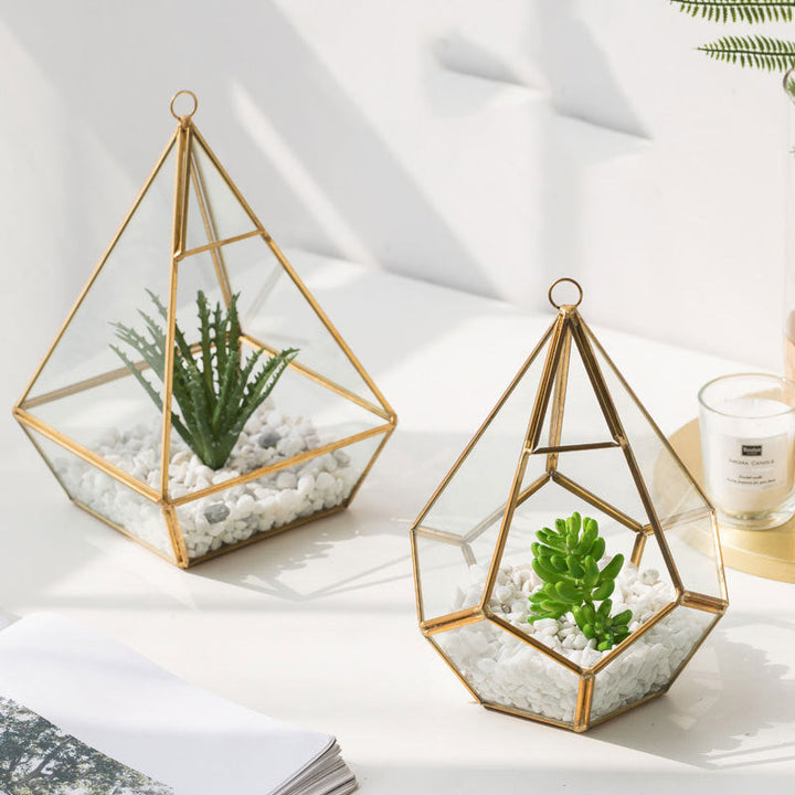 Transform Your Home with Our Succulent Bonsai Decorative Plant Set